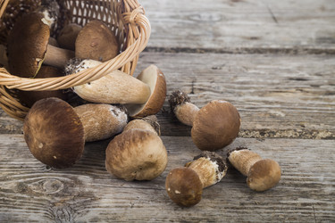 Similar image 13197714