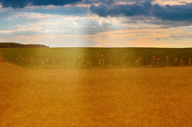 Similar image 13199197