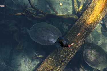 Similar image 13201551