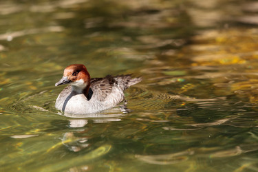 Similar image 13201557