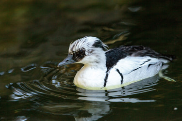 Similar image 13201567