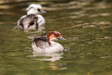 Similar image 13201568