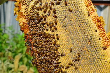 Similar image 13195537