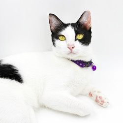 Similar image 13191529