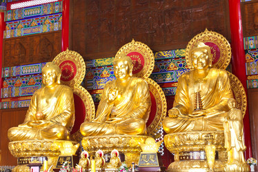 Similar image 13191566