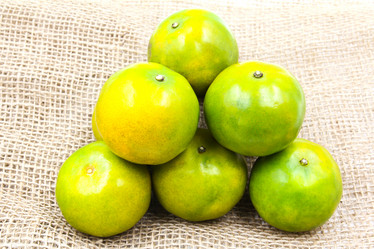 Similar image 13191608