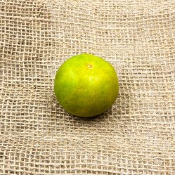 Similar image 13191609