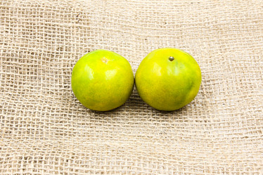 Similar image 13191610