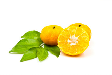 Similar image 13194980