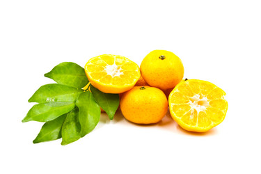 Similar image 13194982