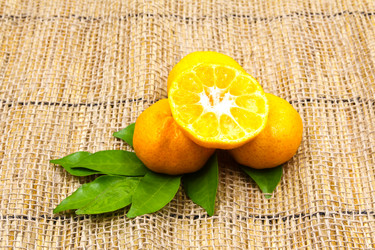 Similar image 13195005