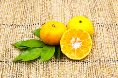 Similar image 13195006