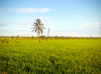 Similar image 13191544