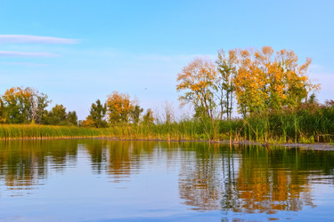 Similar image 13199137