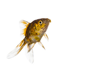 Similar image 13203667