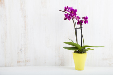 Similar image 13202719