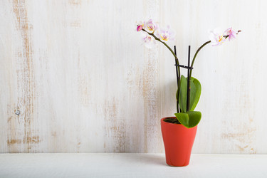 Similar image 13202721