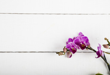 Similar image 13202722