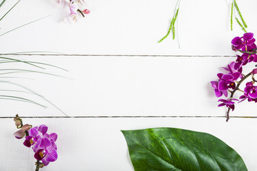 Similar image 13202723