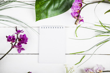 Similar image 13202732