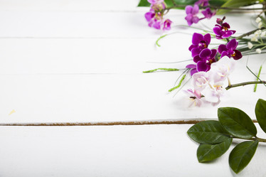 Similar image 13202735