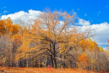 Similar image 13225401