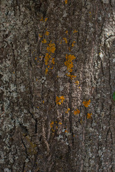 Similar image 13205827