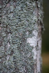 Similar image 13205845