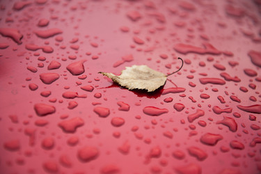 Similar image 13191167