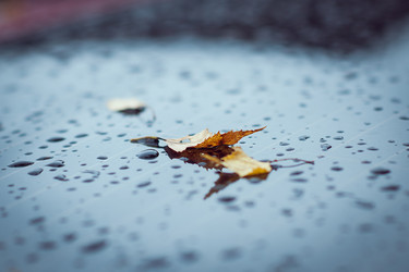 Similar image 13191168