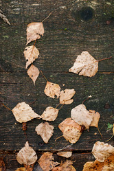 Similar image 13198478