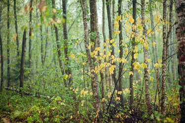 Similar image 13200834