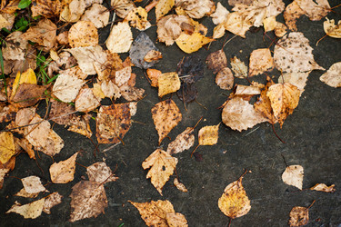 Similar image 13200835