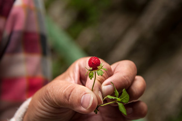 Similar image 13205846