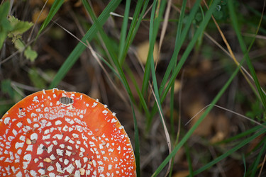 Similar image 13200836