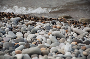 Similar image 13200841