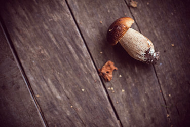 Similar image 13192553