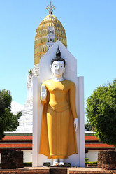 Similar image 13194938