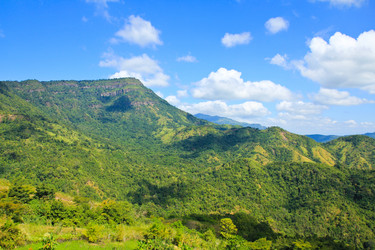 Similar image 13194985