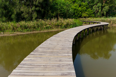 Similar image 13224873