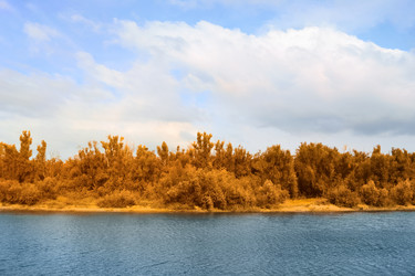 Similar image 13199139