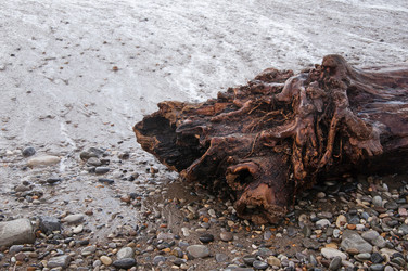 Similar image 13200846