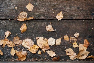 Similar image 13200849