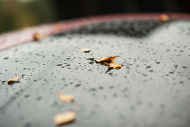 Similar image 13200851