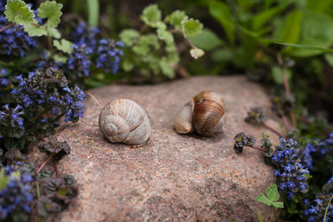 Similar image 13191181