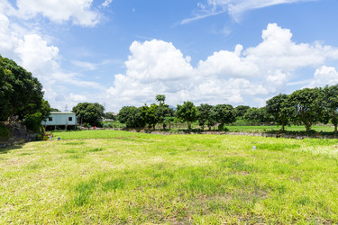 Similar image 13227745