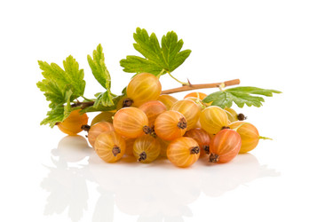 Similar image 13233051