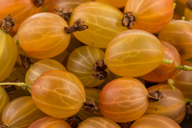 Similar image 13233053