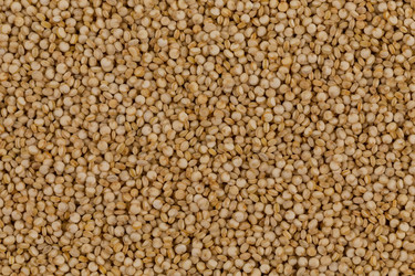 Similar image 13233117