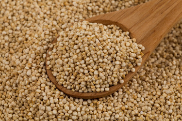 Similar image 13232970